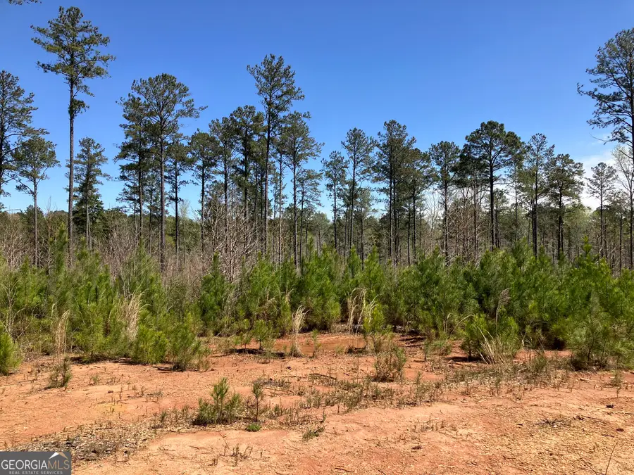 2920 Airline Road, McDonough, GA 30252 - #2