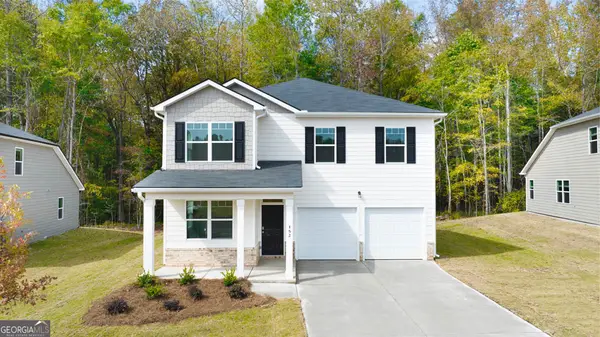117 Oakchase Park Lane, Hampton, GA 30228