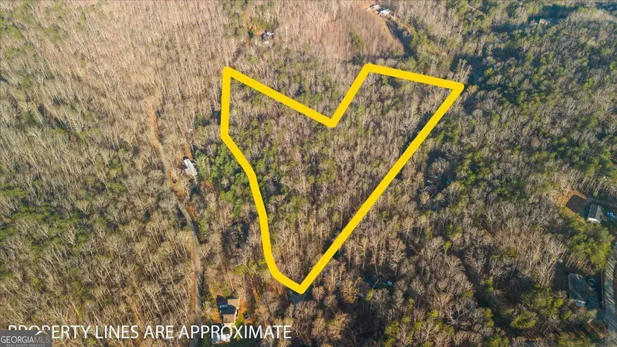 0 Fern Valley Road, Dawsonville, GA 30534 - #2