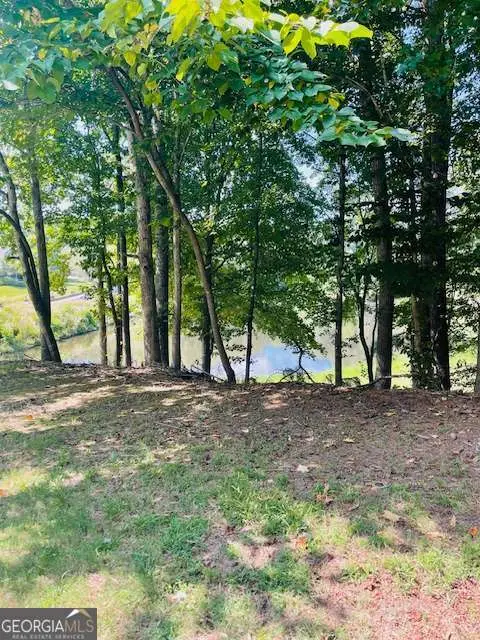 105 Hawks Court, Ball Ground, GA 30107 - #2