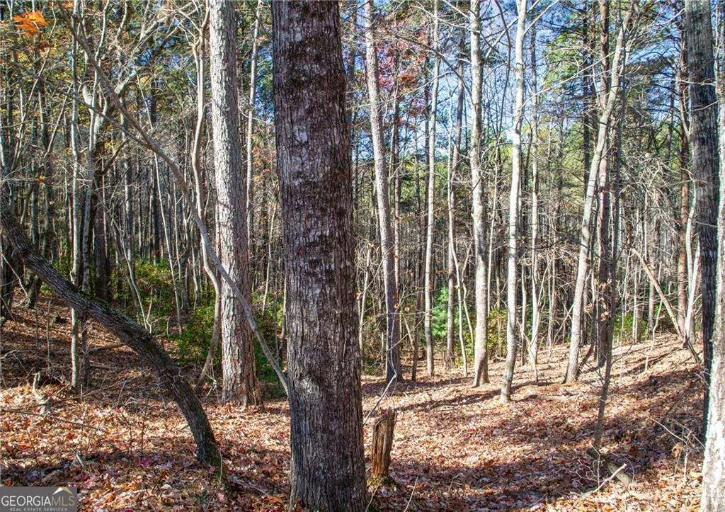 LOT 26 Waldrip Road, Dawsonville, GA 30534 - #1