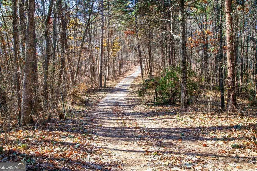 LOT 26 Waldrip Road, Dawsonville, GA 30534 - #3