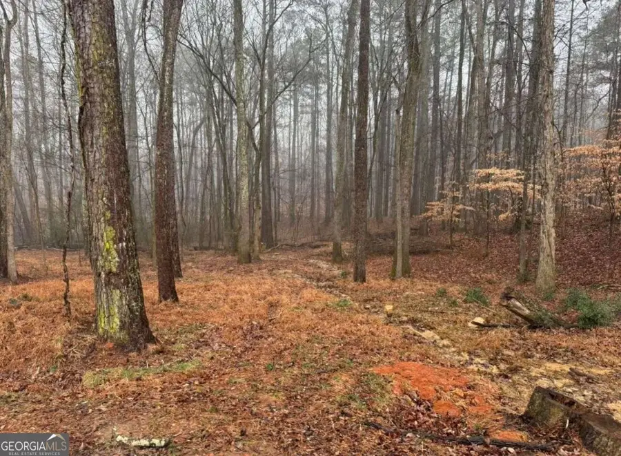 138 Oak Beach Drive Se, Acworth, GA 30101 - #2