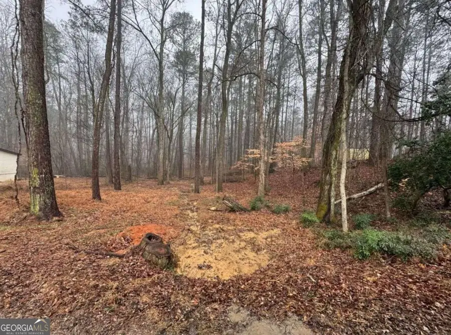 138 Oak Beach Drive Se, Acworth, GA 30101 - #3