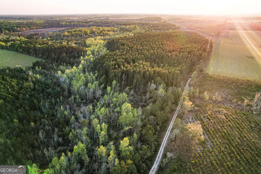 0 Dubberly Road, Baxley, GA 31513 - #2