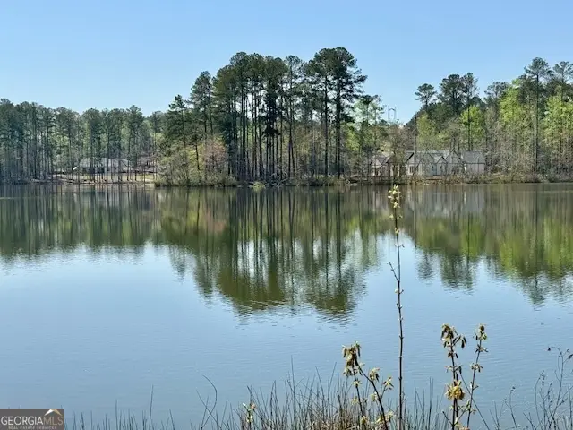 LOT 8 Pierce Chapel Road, Newnan, GA 30263 - #3