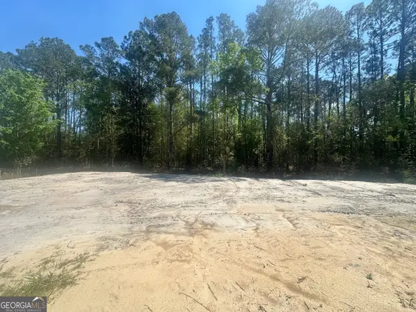 505 Pauline Avenue, Ray City, GA 31645