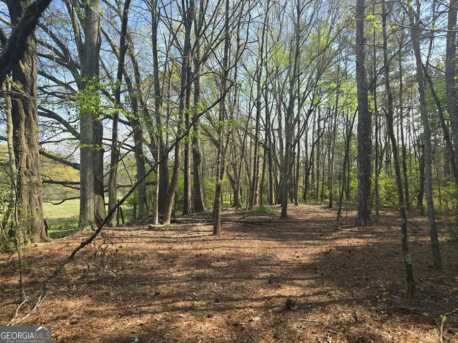 1496 Hardigree Road, Winder, GA 30680 - #3