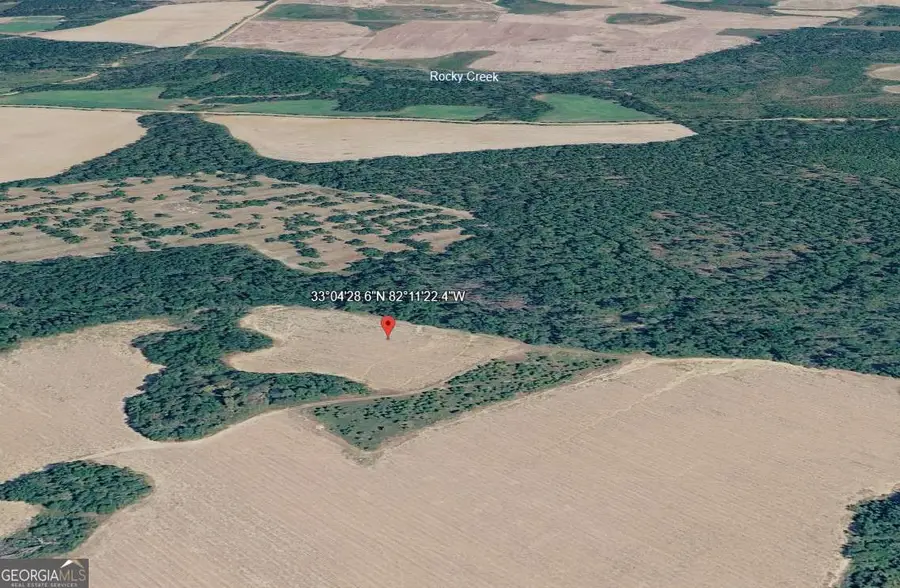 0 Webster Road, Waynesboro, GA 30830 - #3