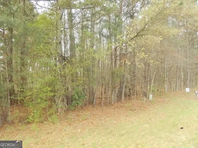 1 AC Smith Loop, Demorest, GA 30535 - #3