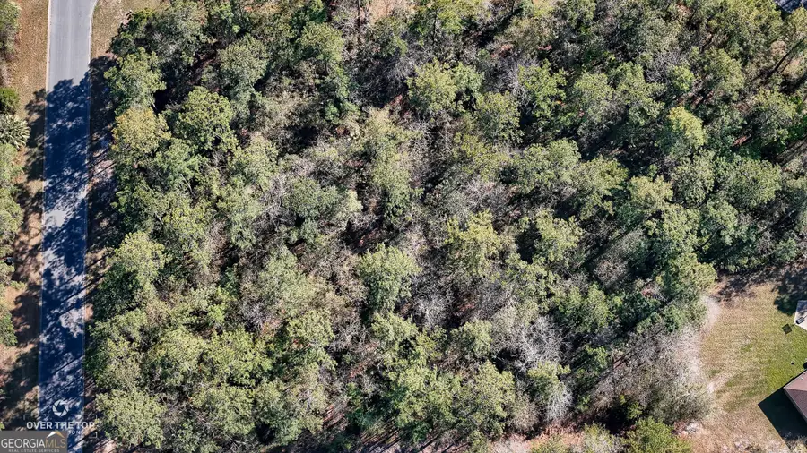 V/L 22 Misty Harbor S/d P4, Woodbine, GA 31569 - #2