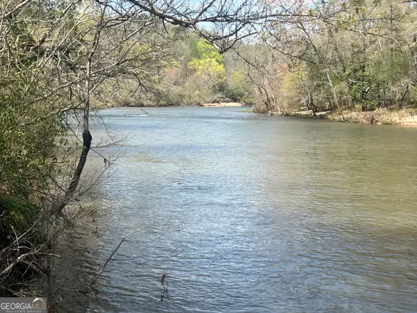 0 Hwy 36 #LOT 5, Woodland, GA 31836