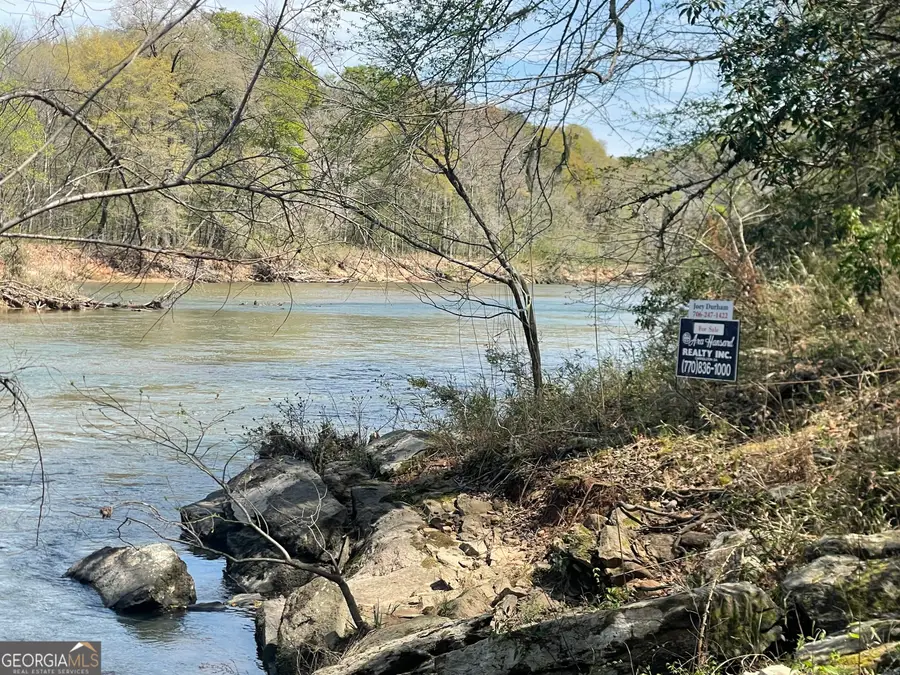 0 Hwy 36 #LOT 6, Woodland, GA 31836 - #2