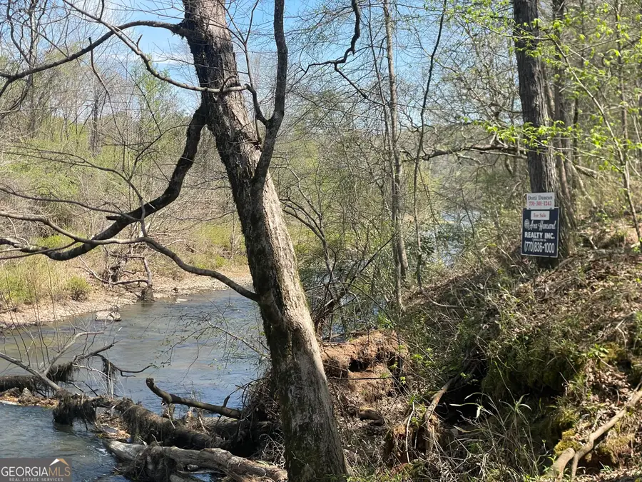 0 Hwy 36 #LOT 6, Woodland, GA 31836 - #3