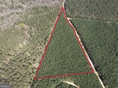 15 Hollis Norman Road, Tignall, GA 30668 - #3