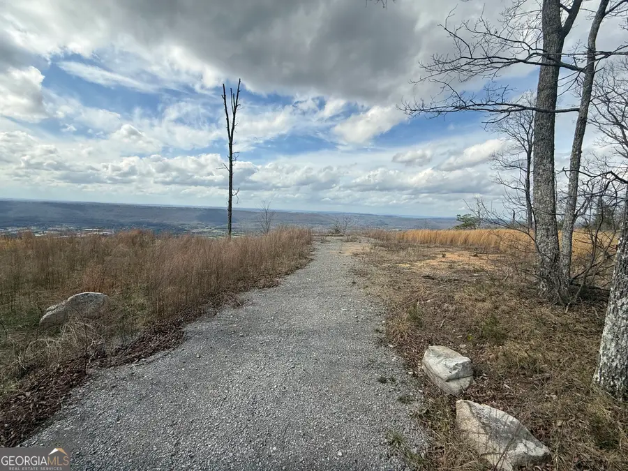 LOT 12 Scenic Highway, Rising Fawn, GA 30738 - #3