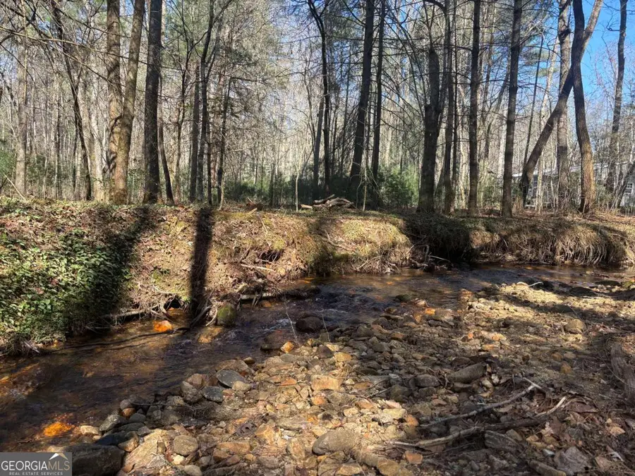 127 Black Forest Lane #2,3, Blairsville, GA 30512 - #3