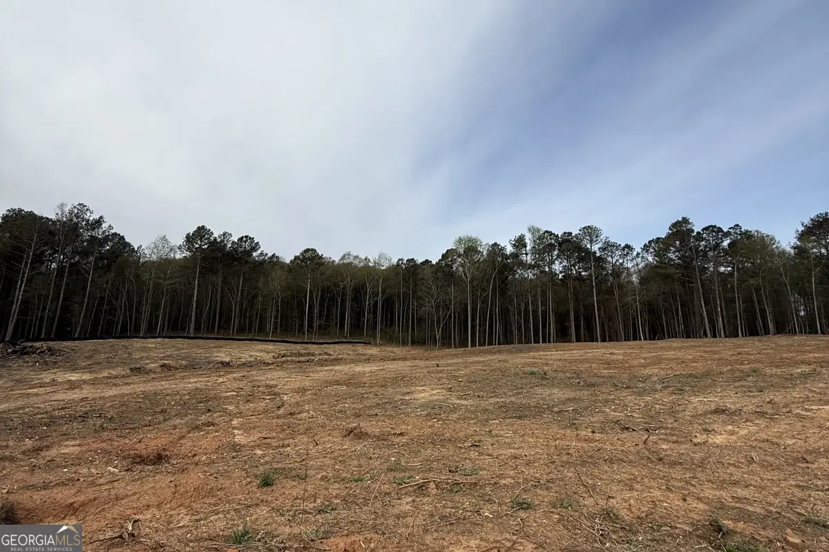 0 Royston Bypass, Royston, GA 30662 - #1