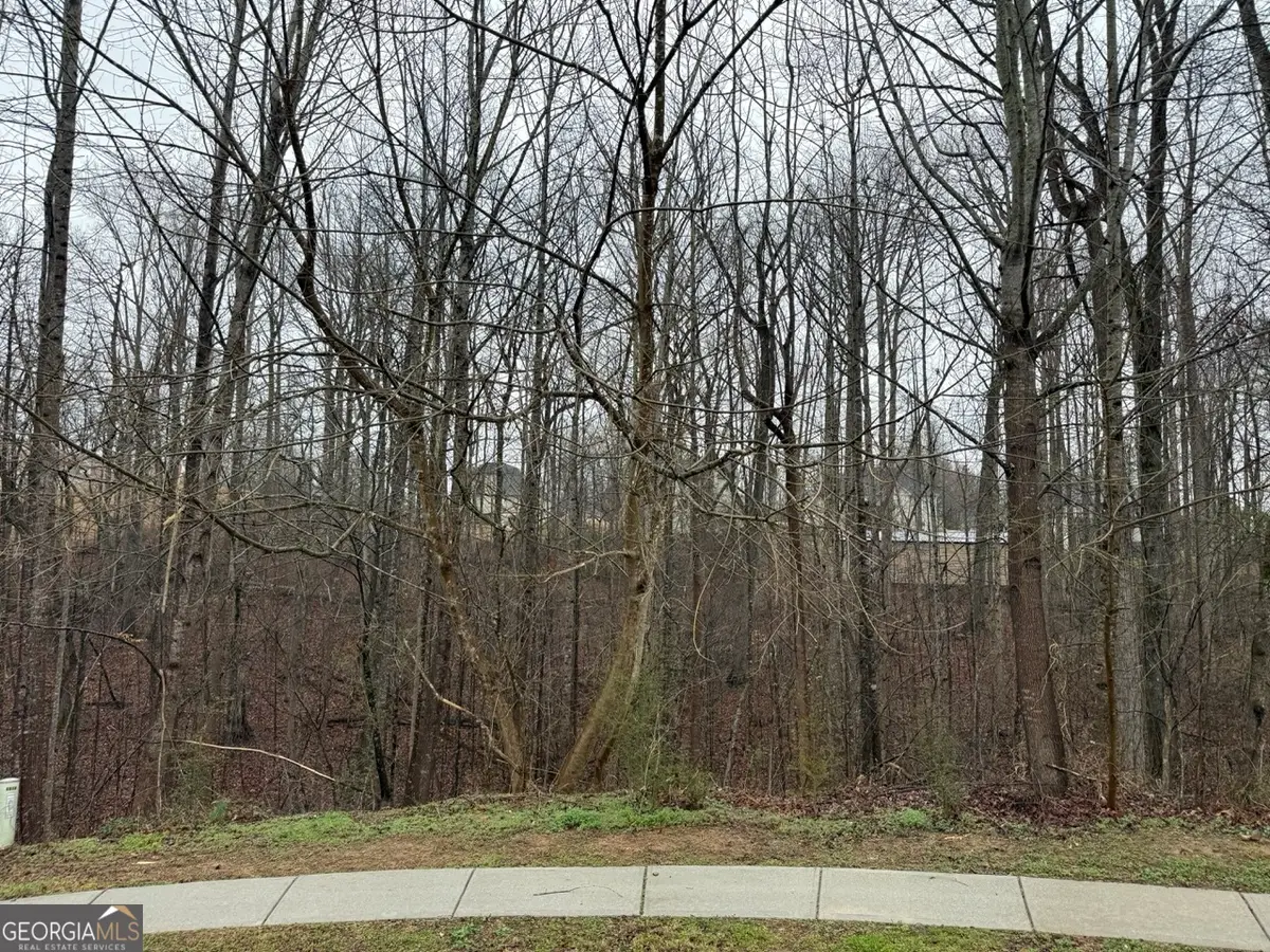 4638 Enfield Drive, Gainesville, GA 30506 - #1