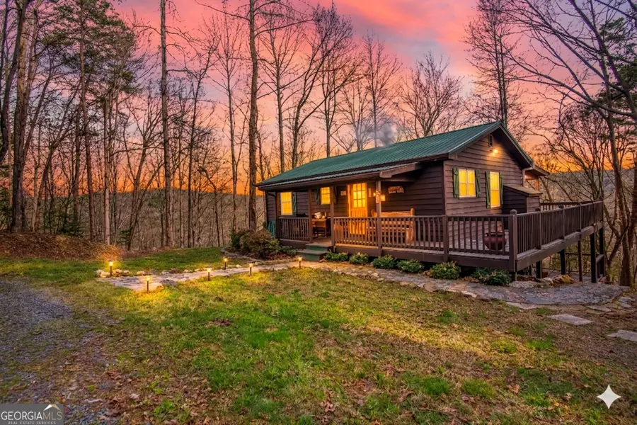 82 Dawgs Drive, Mineral Bluff, GA 30559 - #3