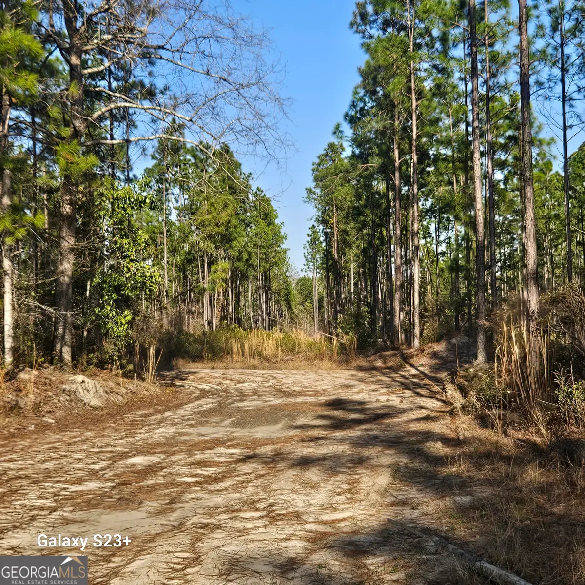 0 Mill Branch Club Road 1 K, Pembroke, GA 31321 - #1