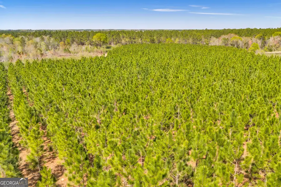 0 Taylor Rd, Fitzgerald, GA 31750 - #3