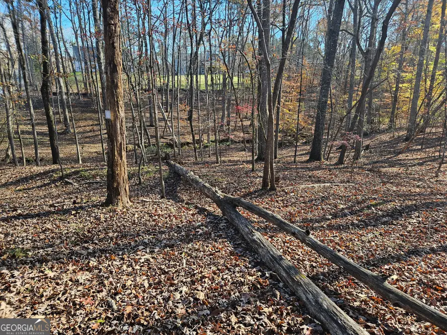 7629 Dogwood Way, Murrayville, GA 30564 - #3