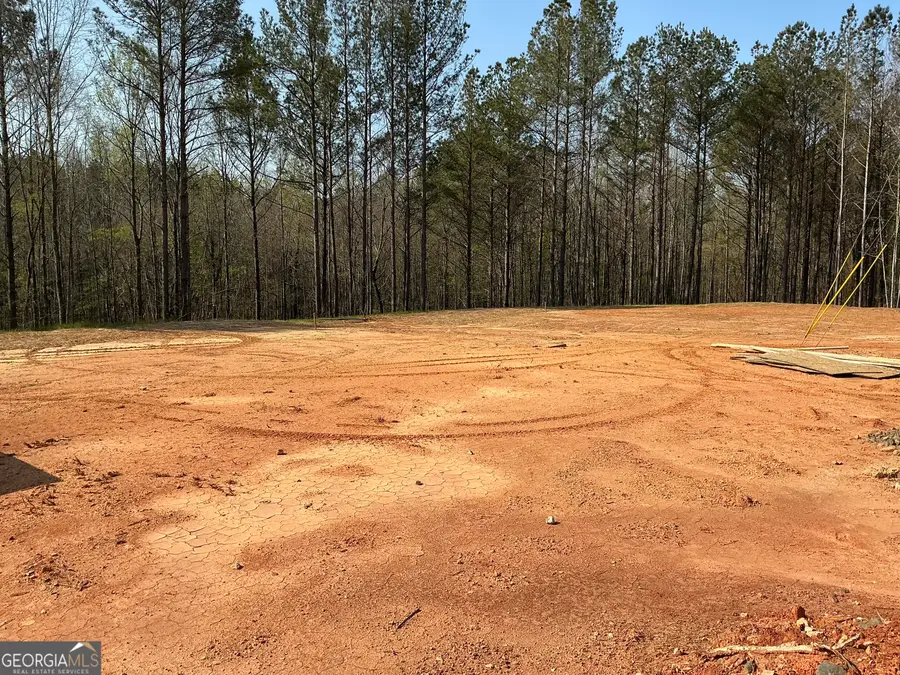 288 White Creek Loop, Rockmart, GA 30153 - #2