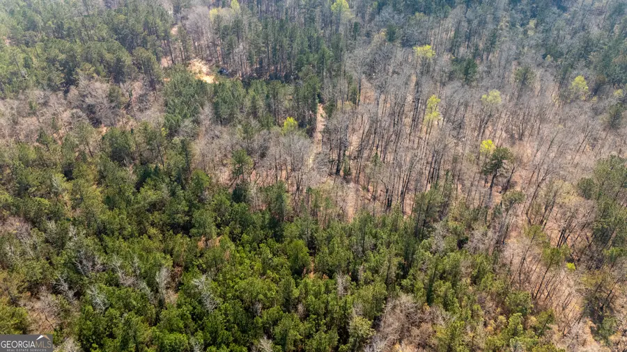 0 Lower Big Springs Road, Lagrange, GA 30241 - #2