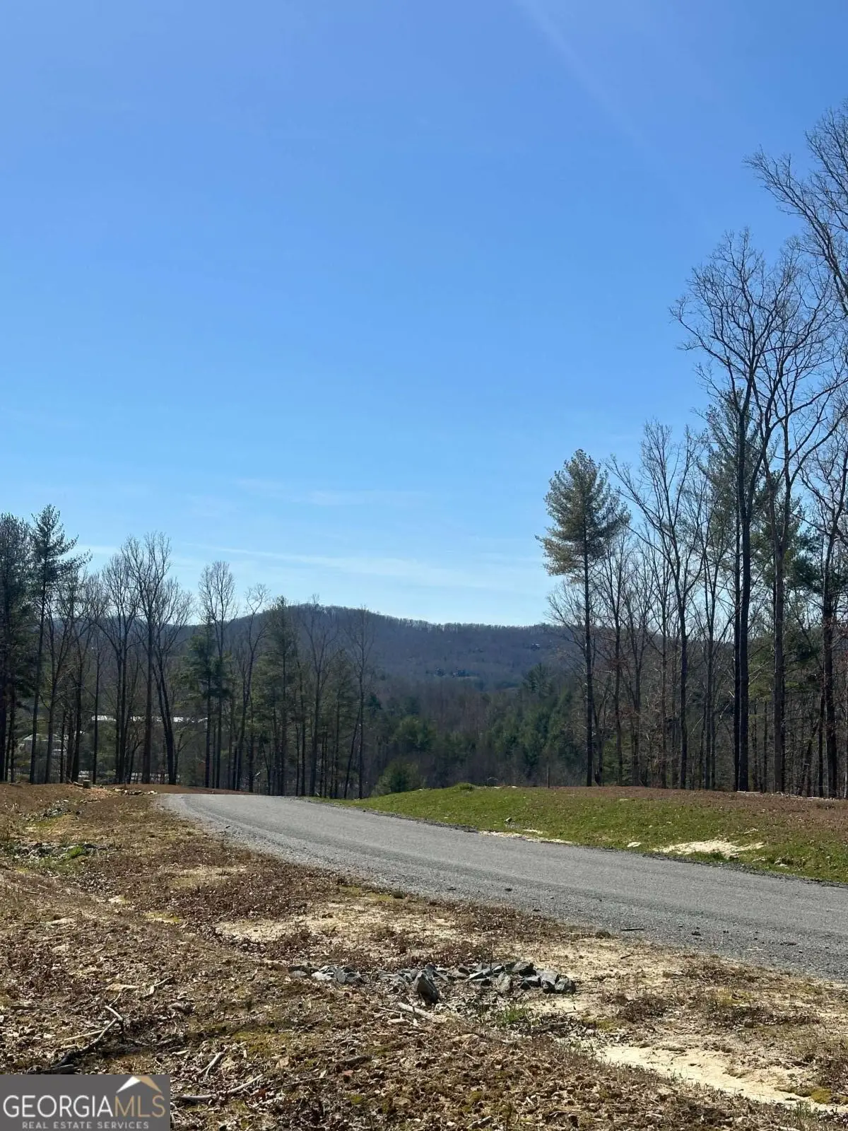 LOT 188 The Ridges, Morganton, GA 30560 - #1