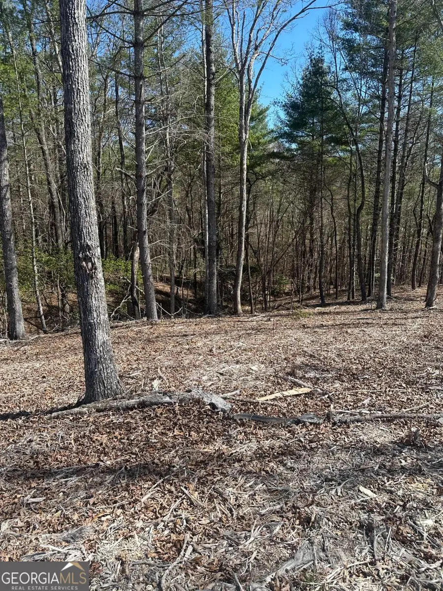 LOT 188 The Ridges, Morganton, GA 30560 - #3