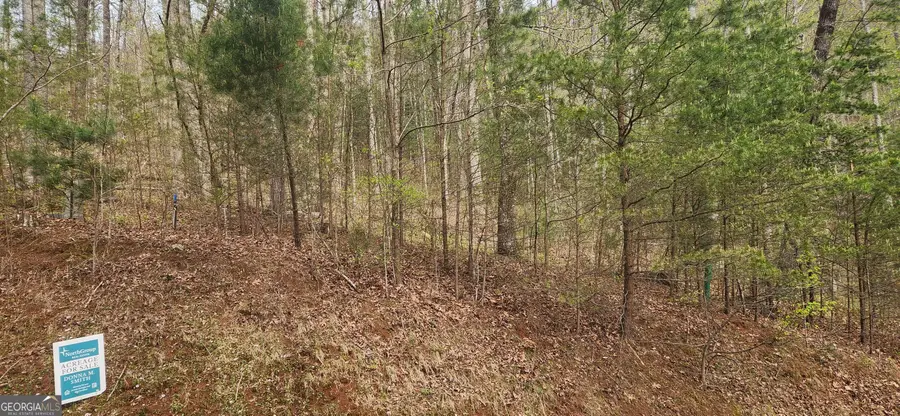 0 Yellow Trillium (lot 13), Clayton, GA 30525 - #3
