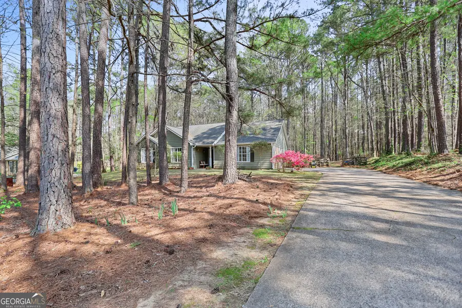 65 Posey Woods Drive, Newnan, GA 30265 - #2
