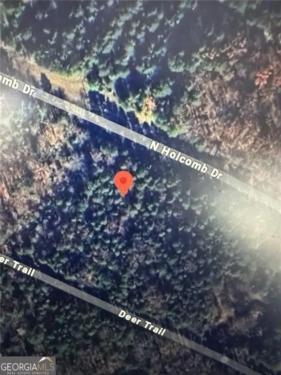 664 N Holcomb Drive, Martin, GA 30557 - #2
