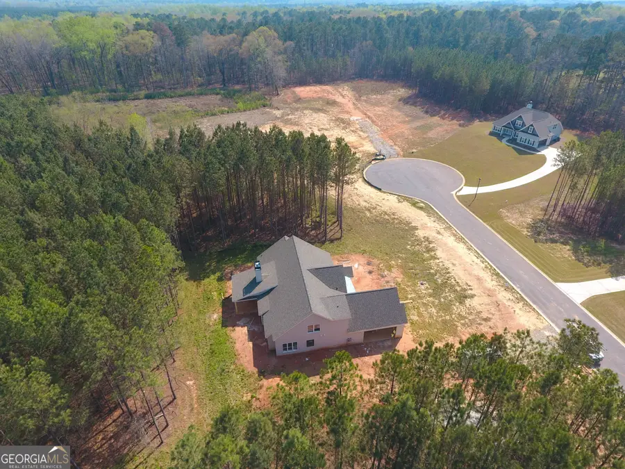 65 Commanche Circle #LOT 56, Williamson, GA 30292 - #3