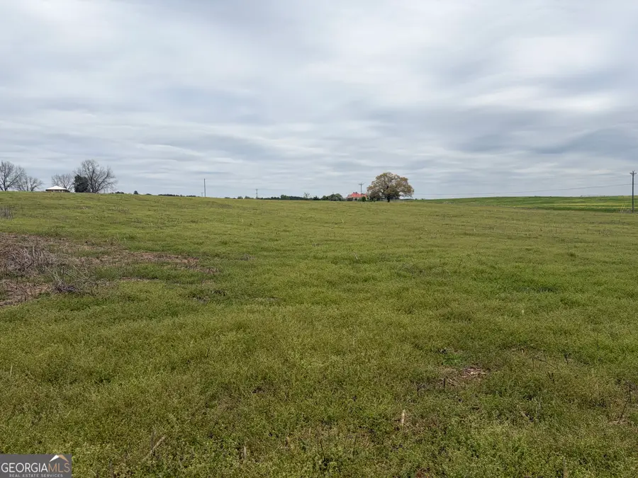 1 Union Point Road, Stephens, GA 30667 - #3