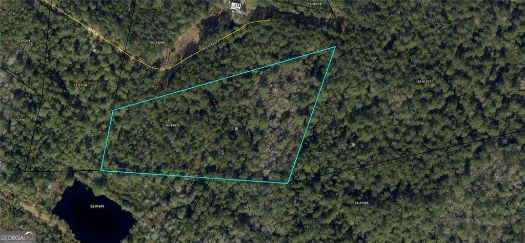 PARCEL #1 Brio Lane, Brunswick, GA 31523 - #1