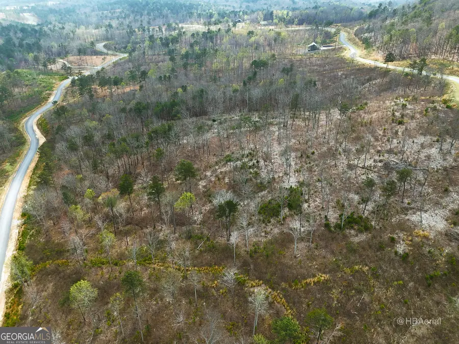 LOT #286 Oak Park Drive, Talking Rock, GA 30175 - #3