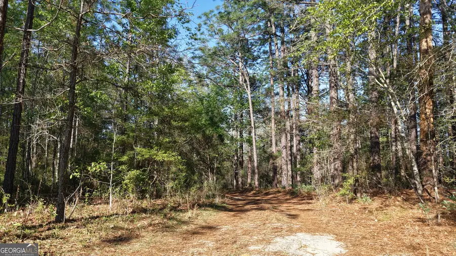 2 ACRES St Mark Road, Dublin, GA 31021 - #3