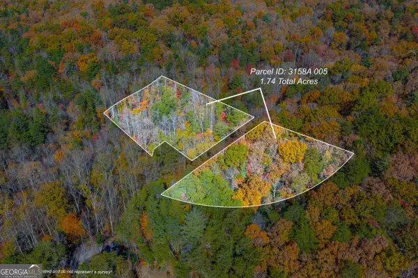 N/A Willard Mountain Road, Ellijay, GA 30513