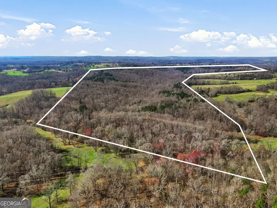 099012 Martin Road, Talmo, GA 30575 - #2