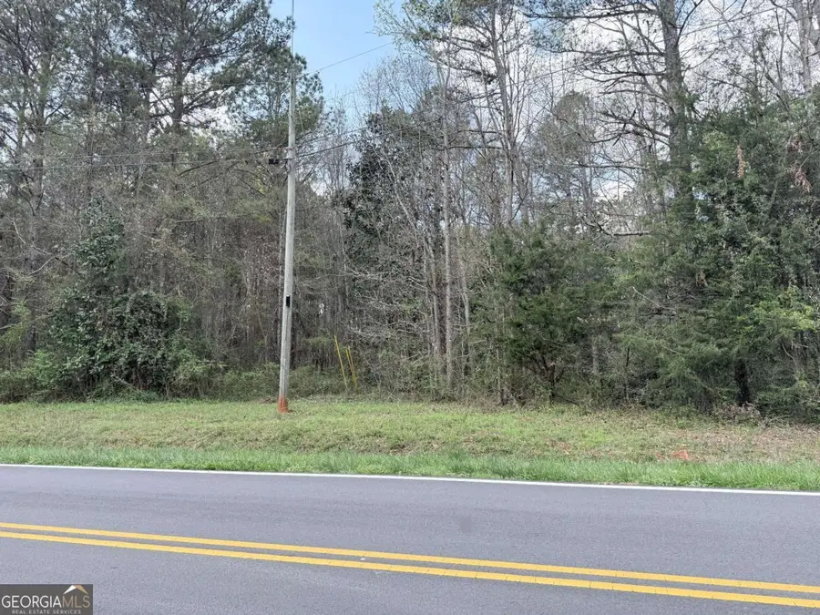 00 Old Columbus Road, Bowdon, GA 30108 - #3