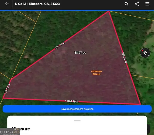 N/S HWY 131 Lecounte Road, Riceboro, GA 31323