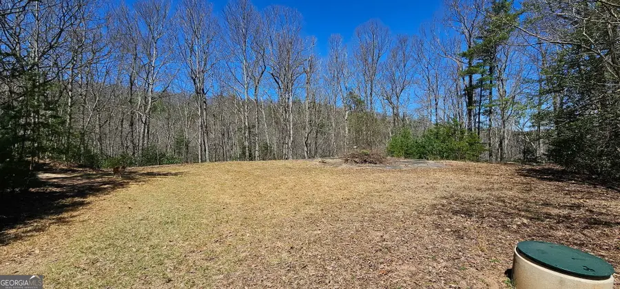 457 Youngblood Drive, Blairsville, GA 30512 - #3