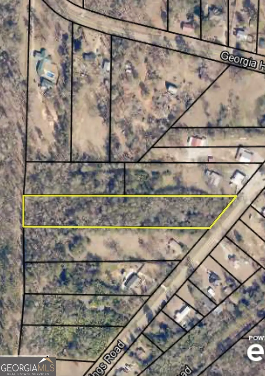 12195 Warm Springs Road, Ellerslie, GA 31807 - #1