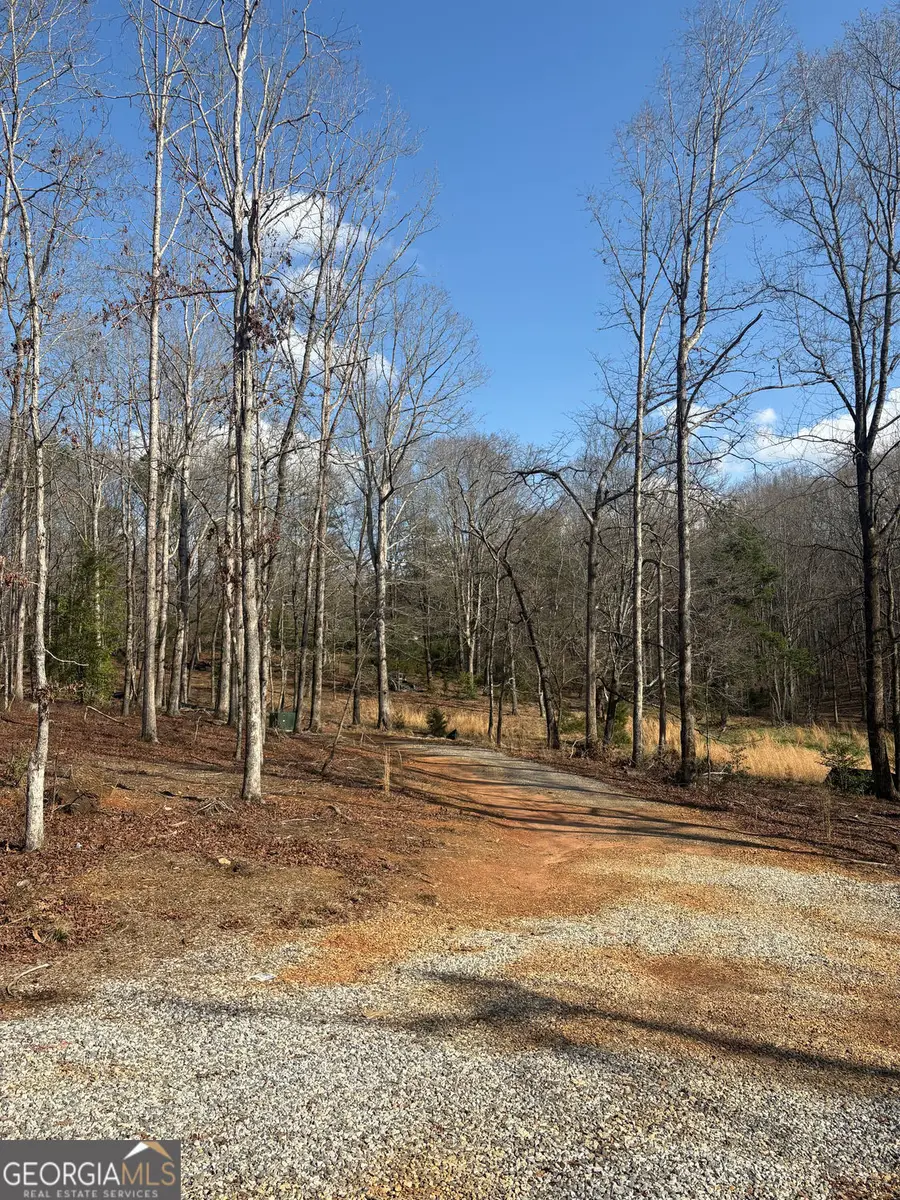 643 Old Ridge Road, Demorest, GA 30535 - #3