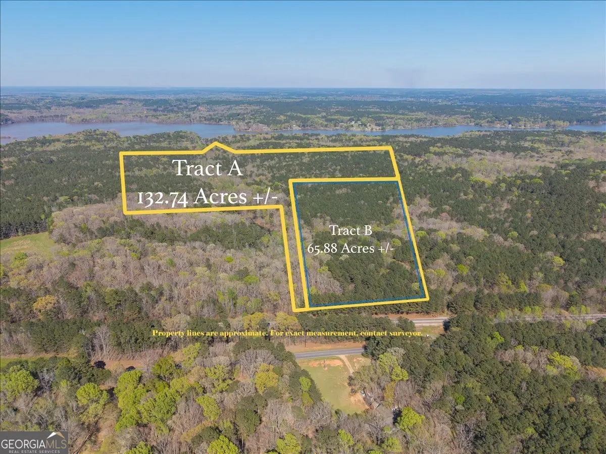 198 +/- ACRES Apalachee Woods Trail, Buckhead, GA 30625 - #1