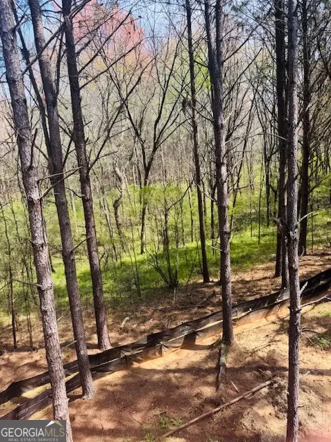 3279 Tommy Dillard, Monroe, GA 30656 - #2