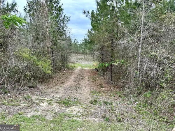 1976 Rock Springs Road, Dublin, GA 31021