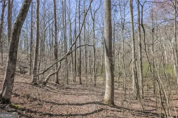 LOT 62 Cherokee Wood Hollow Dr, Ball Ground, GA 30107